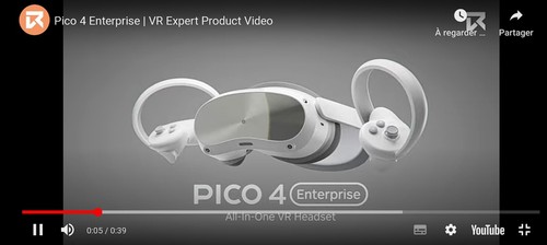 Pico 256go casque - 4,